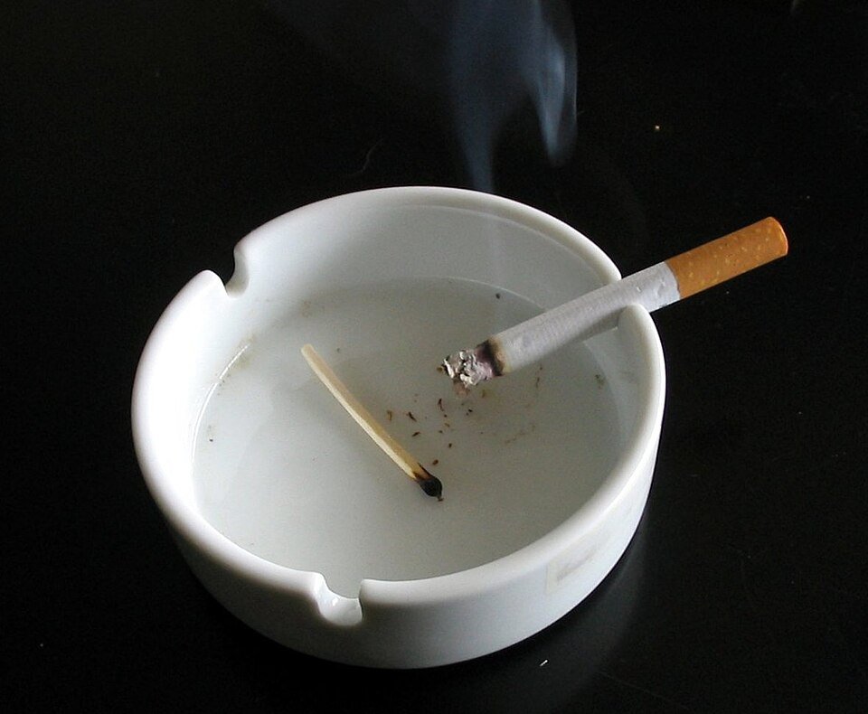 Silicone Ashtray - Green — hybrid grinders & ashtrays from Greens Karing Kind, Los Angeles