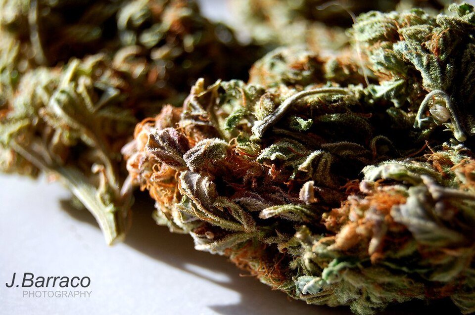 Microdose Bundle — hybrid bundles from Greens Karing Kind, Los Angeles