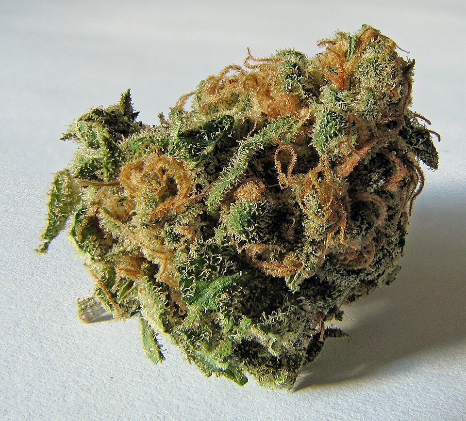 Luxury Gift Bundle — hybrid bundles from Greens Karing Kind, Los Angeles