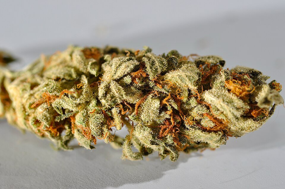 Cookies and Cream — hybrid cannabis flower from Greens Karing Kind, Los Angeles