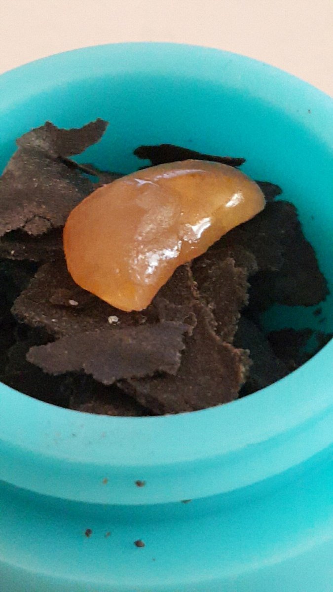Shatter 1g - Chemdawg — hybrid concentrates from Greens Karing Kind, Los Angeles